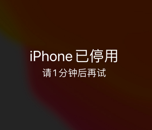 科尔沁苹果手机维修分享:iPhone 显示“不可用”或“已停用”怎么办？还能保留数据吗？ 