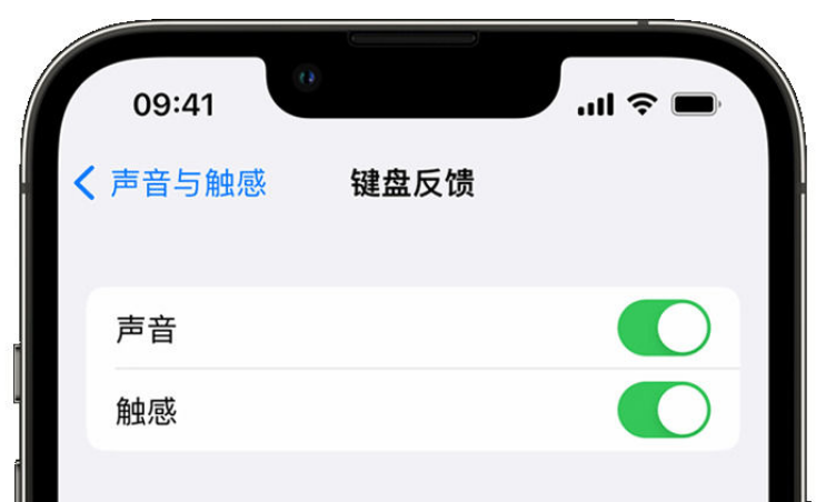 科尔沁苹果手机维修分享iPhone 14触感键盘使用方法 