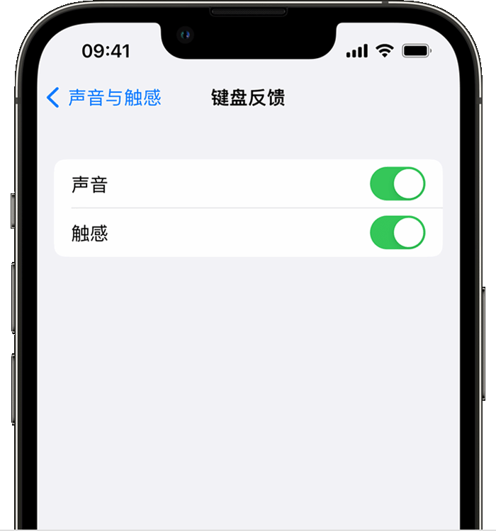 科尔沁苹果14维修分享iPhone 14 系列机型如何开启键盘声音或触感反馈 