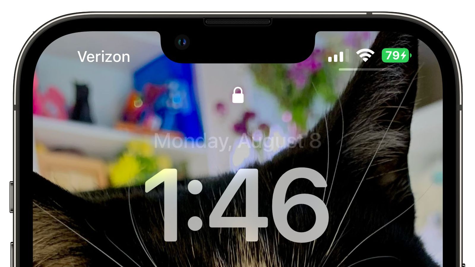 科尔沁苹果手机维修分享iOS 16 beta 5 支持状态栏显示电池百分比，如何开启？支持哪些机型 