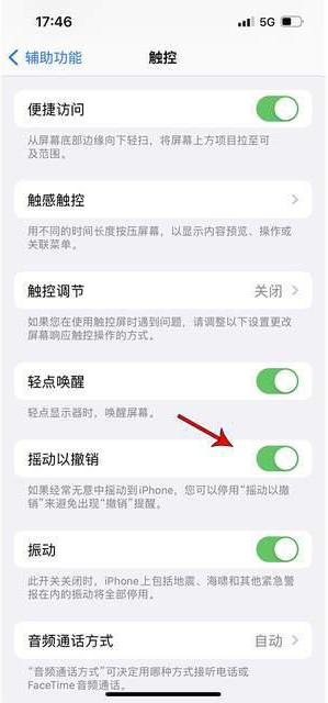 科尔沁苹果手机维修分享iPhone手机如何设置摇一摇删除文字 