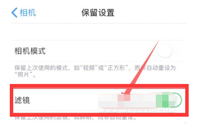 科尔沁苹果13维修分享iPhone13拍照有绿点是怎么回事 