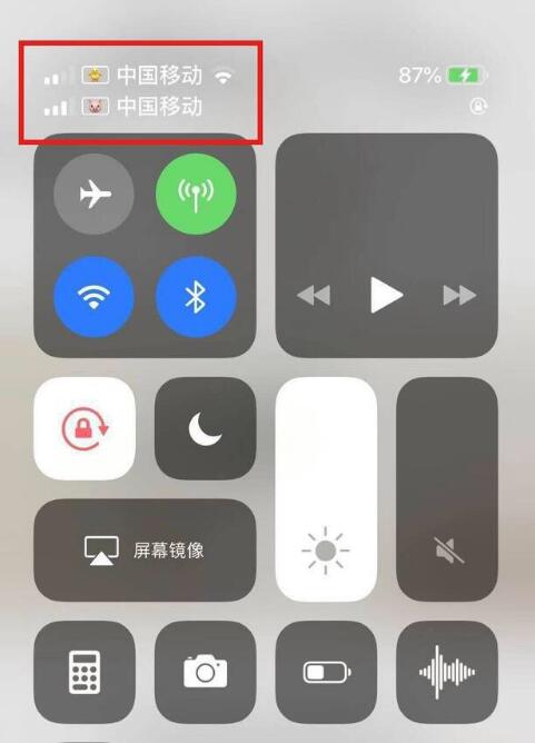 科尔沁苹果手机维修分享为 iPhone 12 双卡设置标签 