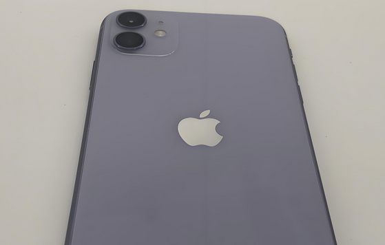 科尔沁苹果11系统维修分享iPhone11手机系统崩溃无法开机如何解决 